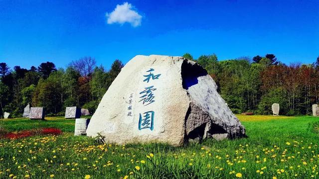 救援受困的火鸡